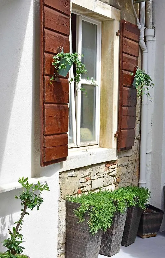 Studio Apartment Ginger Пореч