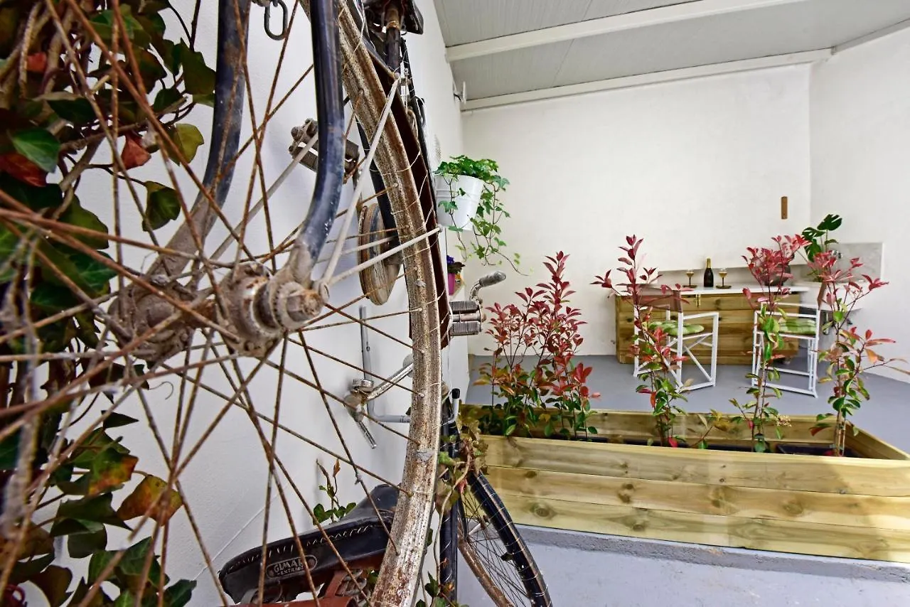 Studio Apartment Ginger Пореч